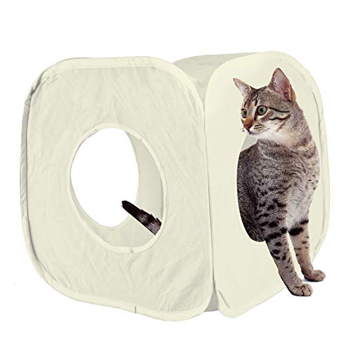 Pet Living Pop-Up-Katzen-Spielwürfel, lustig, starke Box für Katze, Kaninchen, Spielzeug (cremefarben) Pet Living Pop-Up-Katzen-Spielwürfel, lustig, starke Box für Katze, Kaninchen, Spielzeug (cremefarben) von Pet Living