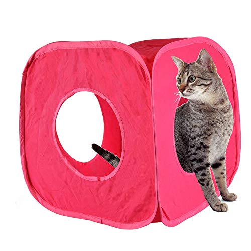 Pet Living Pop-Up-Katzenspielwürfel für Katzen, Kaninchen, Spielzeug (Pink) von Pet Living