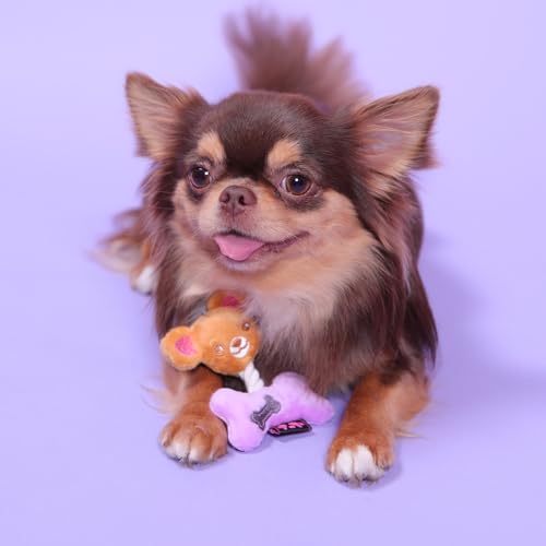 Pet London Bailey Hundespielzeug mit Chihuahua-Charakteren, aus Plüsch, quietschend, für Chihuahuas, Welpen und Erwachsene von Pet London