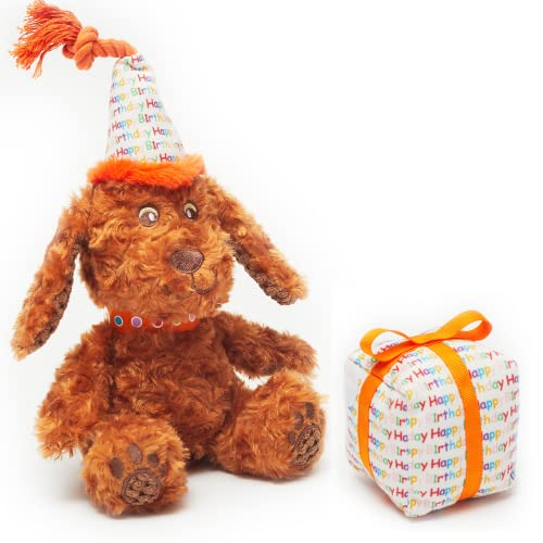 Pet London Happy Birthday Hundespielzeug – 2 Spielzeuge in 1 – Plüschhund und abnehmbares Geschenk – Feiern Sie den Geburtstag oder die Adoption des Hundes – weiches Geschenk für Hund oder Welpen mit Pet London Happy Birthday Hundespielzeug – 2 Spielzeuge in 1 – Plüschhund und abnehmbares Geschenk – Feiern Sie den Geburtstag oder die Adoption des Hundes – weiches Geschenk für Hund oder Welpen mit von Pet London