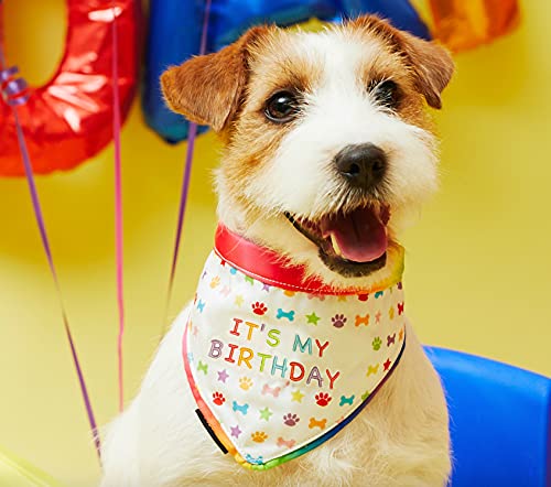 Pet London Hunde- oder Katzengeburtstags-Bandana, wendbar, fröhlichen Farben – Feiern Sie den Happy Birthday für Jungen oder Mädchen – Regenbogen-Muster, Party Geburtstag oder Adoption Geschenk Feier von Pet London
