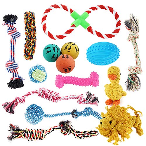 Pet Mania - 15 gemischte kleine und mittelgroße Hundespielzeuge mit Seilen, Bällen und Kauspielzeugen von SATOHA