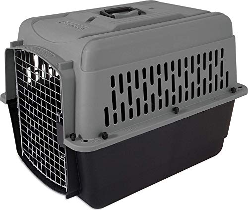 Petmate Aspen PET mittelgroße Rassen Katze, Huhn, Hundehütte, Verschiedene Größen, Transport, Dunkelgrau/Schwarz von Petmate
