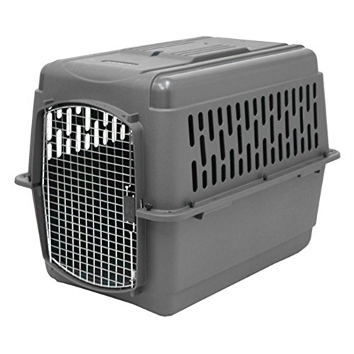 Aspen Pet Porter Transportbox für Haustiere, 50-70 LBS, Dunkelgrau/Schwarz von Aspen Pet