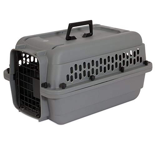 Aspen Pet Traditionelle Hundehütte, 50,8 cm, für Hunde bis zu 4,5 kg Aspen Pet Traditionelle Hundehütte, 50,8 cm, für Hunde bis zu 4,5 kg von Aspen Pet