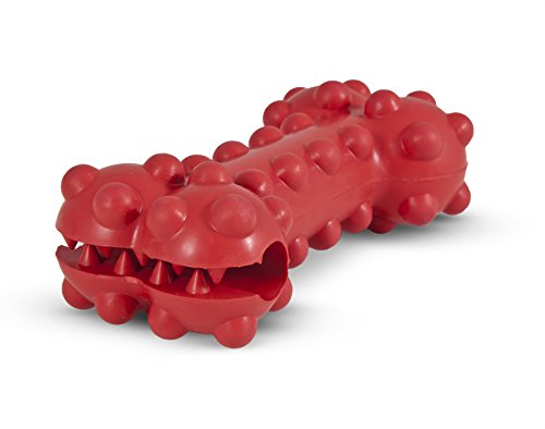 Petmate 30915 Dogzilla Knobby Knobchen-Spielzeug, groß, Rot von Petmate