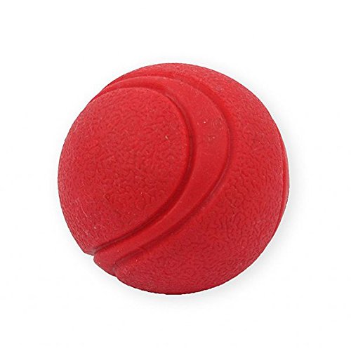 Pet Nova Tennisball 5cm, rot, Aroma von Rind, TPR-BALL5-RE von Pet Nova