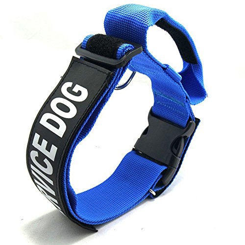 Pet Online Hundehalsband nylon verstellbare weiche, bequeme Tragen mit Griff Halsband, blau, L: 5* 49-76 cm von Pet Online