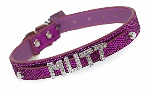Pet Palace® Disco Dawg Hundehalsband, Leder, mit Glitzerbuchstaben, Größe L, Violett von Pet Palace
