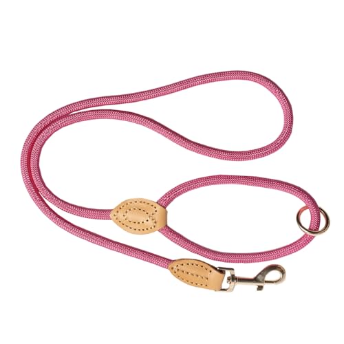 Elegante Hundeleine aus Nylon mit Lederdetails, goldfarbener Metallkarabiner, Rosa Elegante Hundeleine aus Nylon mit Lederdetails, goldfarbener Metallkarabiner, Rosa von Pet Peterson