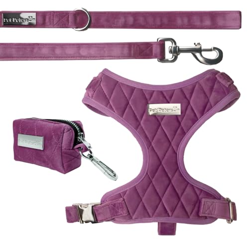 Verstellbares Geschirr für kleine Hunde, Geschirr, Leine und Tragetasche, 3-teiliges Set (Velvet Lila, M) von Pet Peterson