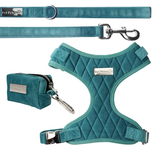 Verstellbares Geschirr für kleine Hunde, Geschirr, Leine und Tragetasche, 3-teiliges Set (Velvet Türkis, M) von Pet Peterson