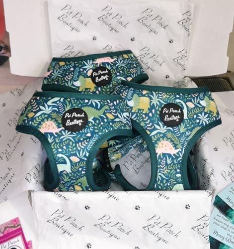Dino Rawr Hundegeschirr L Dino Rawr Hundegeschirr L von Pet Pooch Boutique