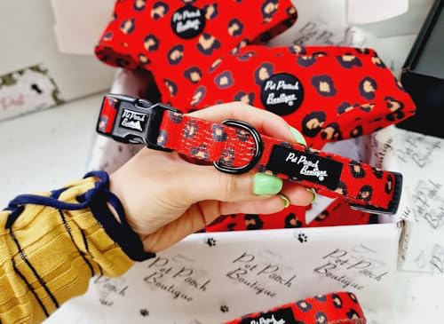 Hundehalsband, Leopardenmuster, Größe XS von Pet Pooch Boutique