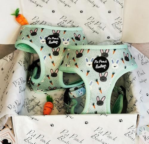 Mint Choc Chip Geschirr Osterhase XS Mint Choc Chip Geschirr Osterhase XS von Pet Pooch Boutique