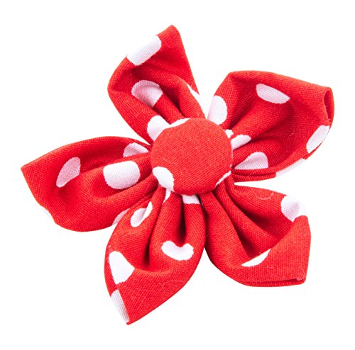 Pet Pooch Boutique Hundehalsband, gepunktet, Blumenmuster, Rot von Pet Pooch Boutique