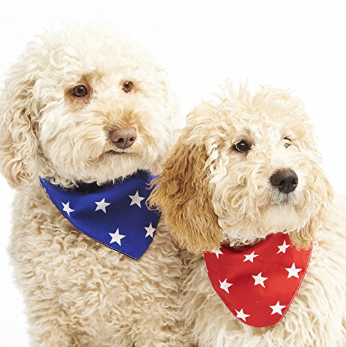 Pet Pooch Boutique Star Bandana für Hunde, Größe XS/S, Rot von Pet Pooch Boutique