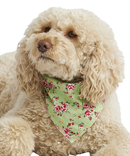 Pet Pooch Boutique Vintage Bandana für Hunde, Größe S/M, Grün von Pet Pooch Boutique