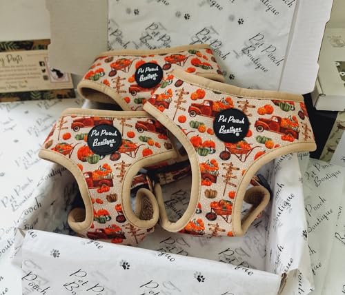 Pumpkin Patch Hundegeschirr M Pumpkin Patch Hundegeschirr M von Pet Pooch Boutique