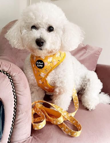 Sunshine Daisy Hundegeschirr S Sunshine Daisy Hundegeschirr S von Pet Pooch Boutique