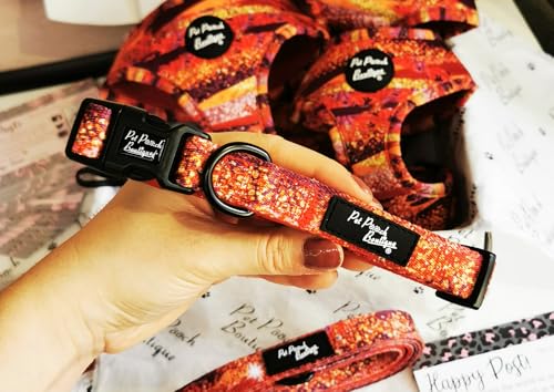 Tango Glitter Hundehalsband XS Tango Glitter Hundehalsband XS von Pet Pooch Boutique