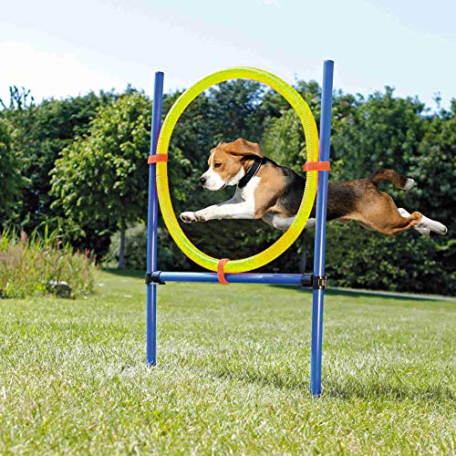 Pet Prime Haustier Hund Spiele im Freien Beweglichkeits-Übungs-Trainingsgerät Beweglichkeits-Starter-Kit Jump Hoop Hurdle Bar von Pet Prime