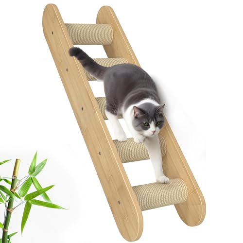 Katzen-Wandregale Möbel Modell F von Pet Shop HQ