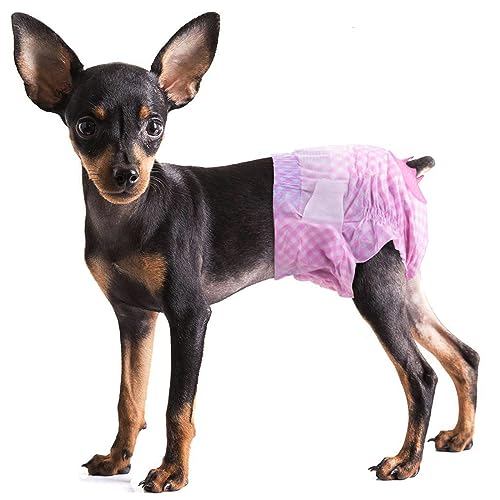 Pet Soft Dog& Cat Windeln Female - Einweg-Hundewindeln Pants in Season, Pink Chihuahua Windeln mit verstellbarem Schwanzloch Niedlich (3M-36 Stück) von Pet Soft