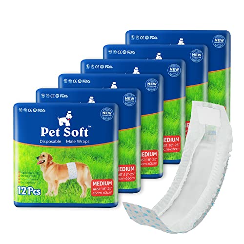 Pet Soft Windeln für Männer – Einweg-Haustierwindeln für männliche Hunde, super saugfähig, für Hunde und Katzen, Harninkontinenz, Medium, 12 Stück von Pet Soft