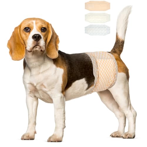 Pet Soft Hundewindeln - Einweg-Hundewindeln für Rüden, Welpenwindeln, Inkontinenz-Windeln für Rüden,12 Stück,superabsorbierende Hundewindeln für Hunde bei Harninkontinenz, M(18-25’’) von Pet Soft