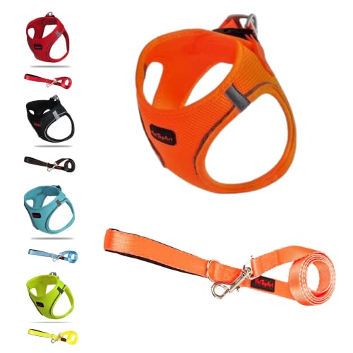 Pet Tag Art Airmesh Hundegeschirr/Leine Set, Anti-Zug-Geschirr Leine Set, Reflektierendes Brustgeschirr für kleine, große Hunde, Leine 1.4 m (Neon Orange, M) von Pet Tag Art