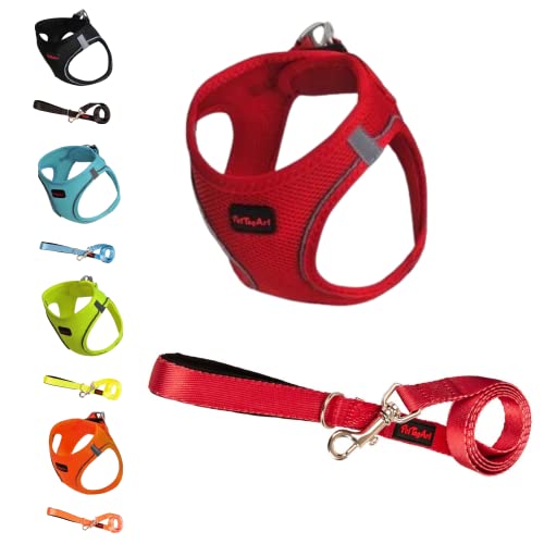Pet Tag Art Airmesh Hundegeschirr/Leine Set, Anti-Zug-Geschirr Leine Set, Reflektierendes Brustgeschirr für kleine, große Hunde, Leine 1.4 m (Rot, L) von Pet Tag Art