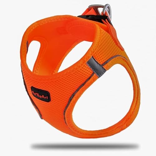 PetTagArt Air Mesh Step-In Hundegeschirr, Hundegeschirr Air Mesh extra leicht & weich in verschiedenen Größen (S, Neon Orange) von Pet Tag Art