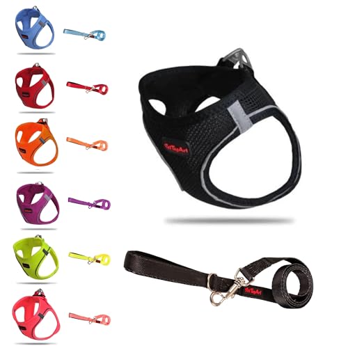 PetTagArt Airmesh Hundegeschirr/Leine Set, Anti-Zug-Geschirr Leine Set, Reflektierendes Brustgeschirr für kleine, große Hunde, Leine 1.4 m (Schwarz, M) von Pet Tag Art