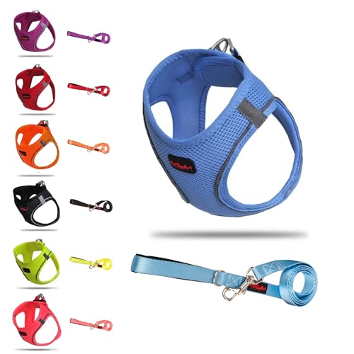 PetTagArt Airmesh Hundegeschirr/Leine Set, Anti-Zug-Geschirr Leine Set, Reflektierendes Brustgeschirr für kleine, große Hunde, Leine 1.4 m (Türkis, M) von Pet Tag Art