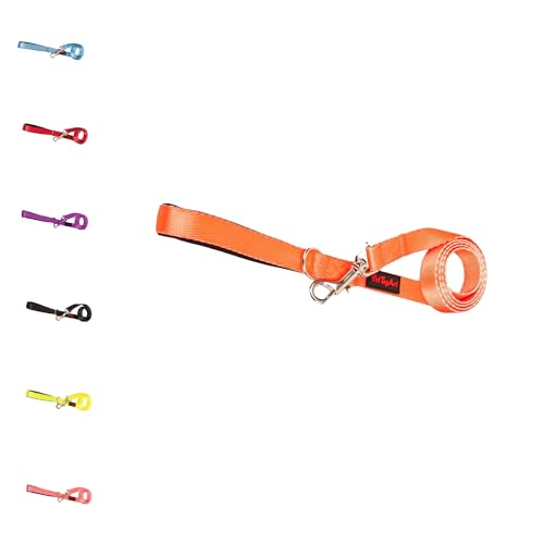 PetTagArt Hundeleine I 140 cm x 2 cm I Hundeführerleine I Schlepp-Leine groß extrem leicht & robust I geflochtene hochwertige I Für kleine & große Hunde I I Schlepp-Leine groß | Gratis (Neon Orange) PetTagArt Hundeleine I 140 cm x 2 cm I Hundeführerleine I Schlepp-Leine groß extrem leicht & robust I geflochtene hochwertige I Für kleine & große Hunde I I Schlepp-Leine groß | Gratis (Neon Orange) von Pet Tag Art