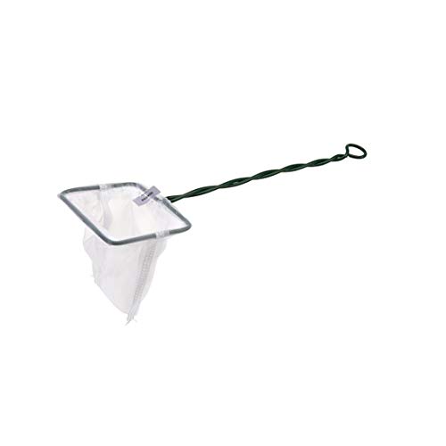 Pet Ting Aquariumnetz 10 x 8 cm für tropisches Kaltwasser von Pet Ting