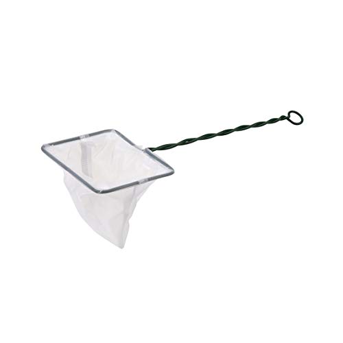 Pet Ting Aquariumnetz 13 x 10 cm für tropisches Kaltwasser von Pet Ting