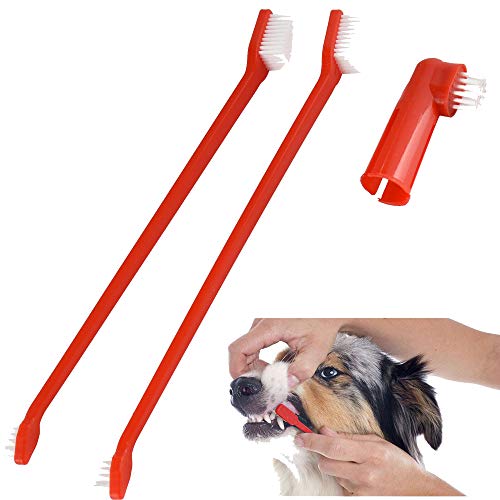 Pet Teeth Care Zahnbürste für Welpen, Hunde und Katzen, 22 cm lang von Pet Touch