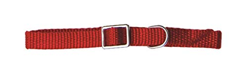 Pet Tribe Halsband aus Nylon, verstellbar, rot, Breite 1,5 cm, Länge verstellbar von 30 cm bis 46 cm. von Pet Tribe
