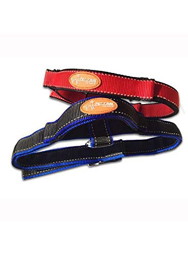 Pet Tribe PT58218 Hundehalsband Sport Control, Größe M, Schwarz von Pet Tribe