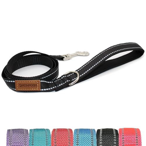 Pet & Posh Reflektierende Hundeleine – Premium-Neopren-gepolsterte Leine, verstellbares und atmungsaktives Nylon für Sicherheit und Stil (schwarz, 1,8 m Standard) von Pet & Posh