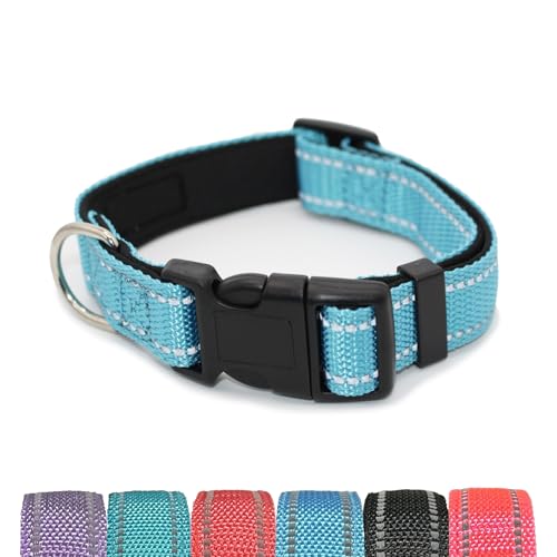 Pet & Posh Reflektierendes Hundehalsband, hochwertiges Neopren, gepolstertes Halsband, verstellbares und atmungsaktives Nylon für Sicherheit und Stil, Himmelblau, Größe XL Pet & Posh Reflektierendes Hundehalsband, hochwertiges Neopren, gepolstertes Halsband, verstellbares und atmungsaktives Nylon für Sicherheit und Stil, Himmelblau, Größe XL von Pet & Posh