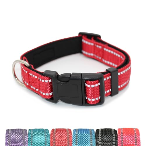 Pet & Posh Reflektierendes Hundehalsband, hochwertiges Neopren, gepolstertes Halsband, verstellbares und atmungsaktives Nylon für Sicherheit und Stil, Rot, Größe L Pet & Posh Reflektierendes Hundehalsband, hochwertiges Neopren, gepolstertes Halsband, verstellbares und atmungsaktives Nylon für Sicherheit und Stil, Rot, Größe L von Pet & Posh