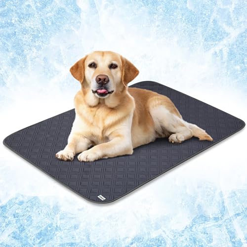 PetAmi Wasserdichte Kühlmatte für Hunde, hochwertige Haustier-Kühldecke für Bettkäfige, rutschfeste Hunde-Kühlunterlage zum Schlafen, Q-MAX große Sofa-Couchbezug-Matte für Katze, Grau, 40 x 60 cm von PetAmi
