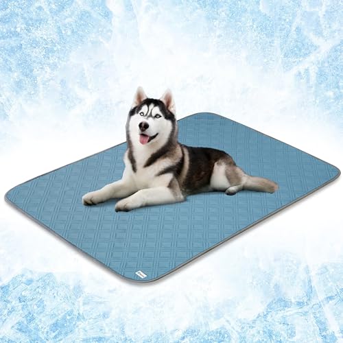 PetAmi Wasserdichte Kühlmatte für Hunde, hochwertige Haustier-Kühldecke für Bettkäfige, rutschfestes Kühlkissen für den Innenbereich, Q-MAX große Sofa-Couchbezug-Matte für Katze, Hellblau, 60 x 80 cm PetAmi Wasserdichte Kühlmatte für Hunde, hochwertige Haustier-Kühldecke für Bettkäfige, rutschfestes Kühlkissen für den Innenbereich, Q-MAX große Sofa-Couchbezug-Matte für Katze, Hellblau, 60 x 80 cm von PetAmi