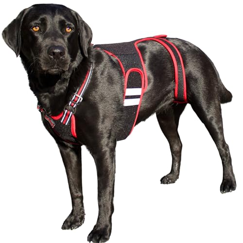 PetAngell Rückenstütze für Hunde, Größe XL von PetAngell