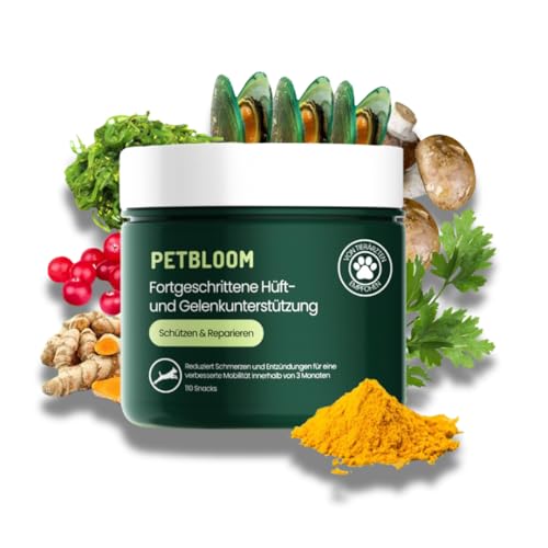PetBloom Gelenksnacks für Hunde mit Hyaluronsäure Grünlippmuschel Hund, Glucosamin, Chondroitin & MSM, 120 Snacks PetBloom Gelenksnacks für Hunde mit Hyaluronsäure Grünlippmuschel Hund, Glucosamin, Chondroitin & MSM, 120 Snacks von PetBloom