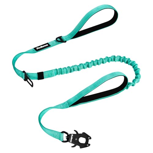 PetBonus 5FT Heavy Duty Bungee Hundeleine mit Schnellverschluss Metall Clip (Türkis) von PetBonus