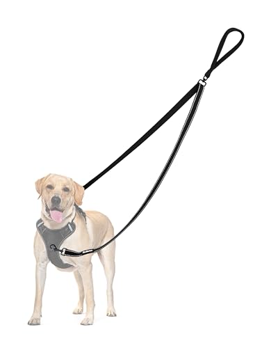 PetBonus No Pull Anti-Zieh Hundeleine, Keine Verwicklung Doppelleine für Anti-Zug Geschirr, Reflektierend Hundeleine zum Trainieren und Gassi gehen für große mittlere Hunde (Schwarz) PetBonus No Pull Anti-Zieh Hundeleine, Keine Verwicklung Doppelleine für Anti-Zug Geschirr, Reflektierend Hundeleine zum Trainieren und Gassi gehen für große mittlere Hunde (Schwarz) von PetBonus